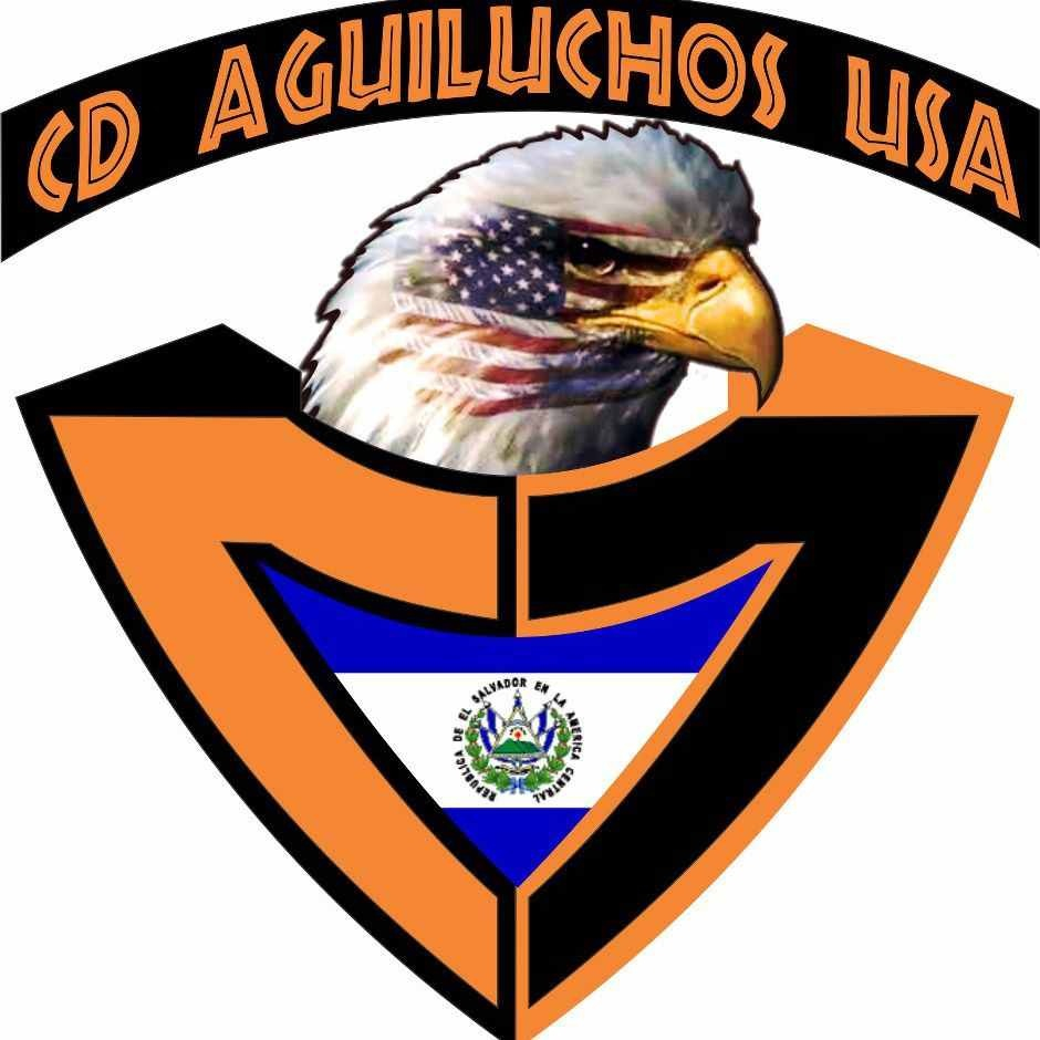cd aguiluchos usa 2013-pres primary logo t shirt iron on transfers